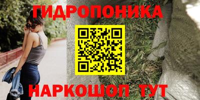 ГАЛЛЮЦИНОГЕННЫЕ ГРИБЫ Вязники