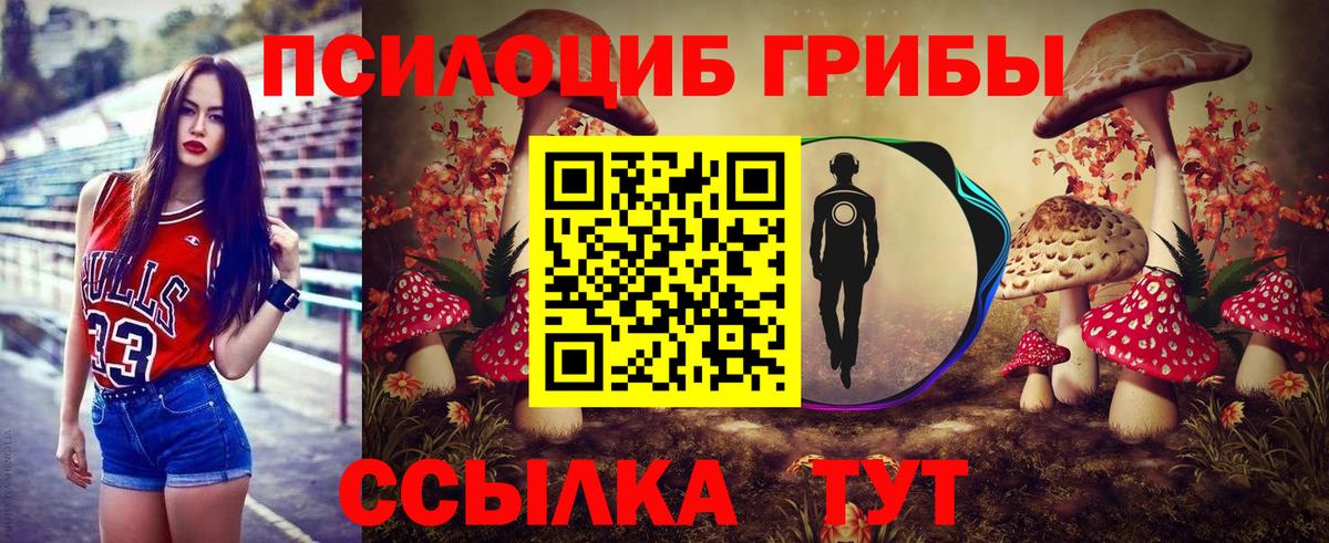 Галлюциногенные грибы Psilocybe  Псилоцибиновые грибы GOLDEN TEACHER  как найти   Вход с VPN  Богородск 