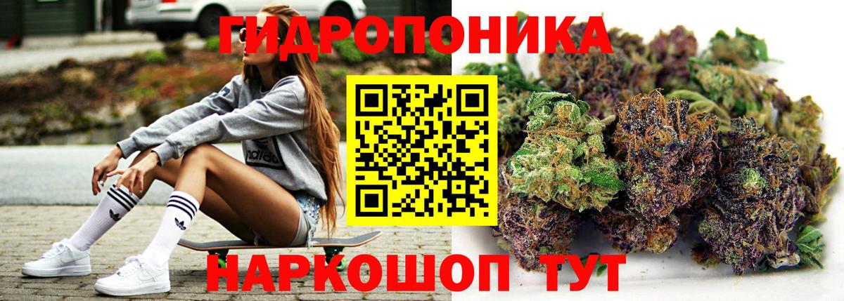 Конопля индика Богородск