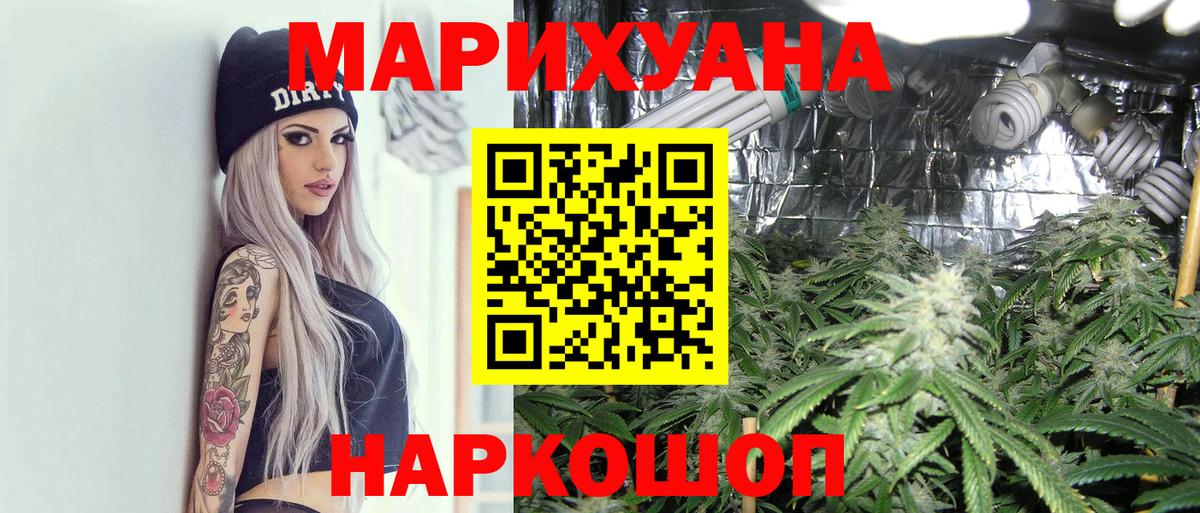 Конопля план  Вход с VPN  Богородск  Канабис сатива 